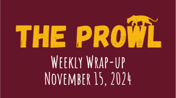 Weekly Wrap-up Nov 15