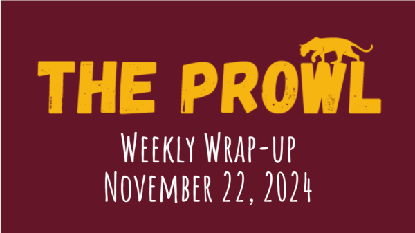 Weekly Wrap-up Nov 22