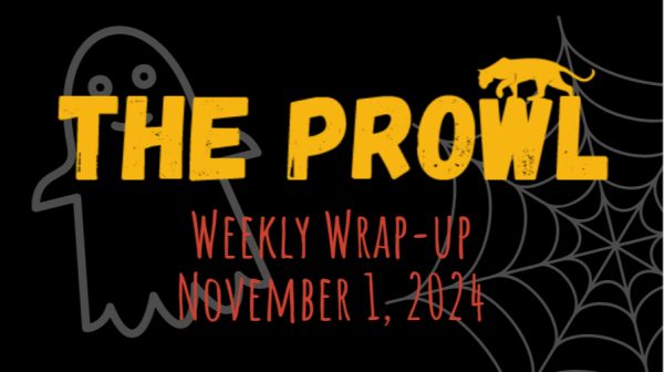 Weekly Wrap-up: Nov 1