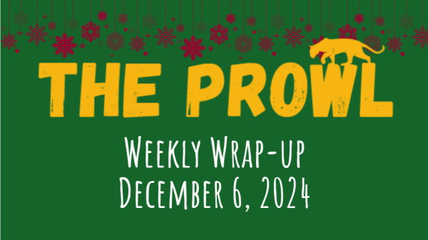 Weekly Wrap-up: Dec 6