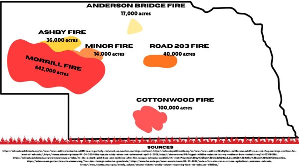 Infographic detailing the information from the story.