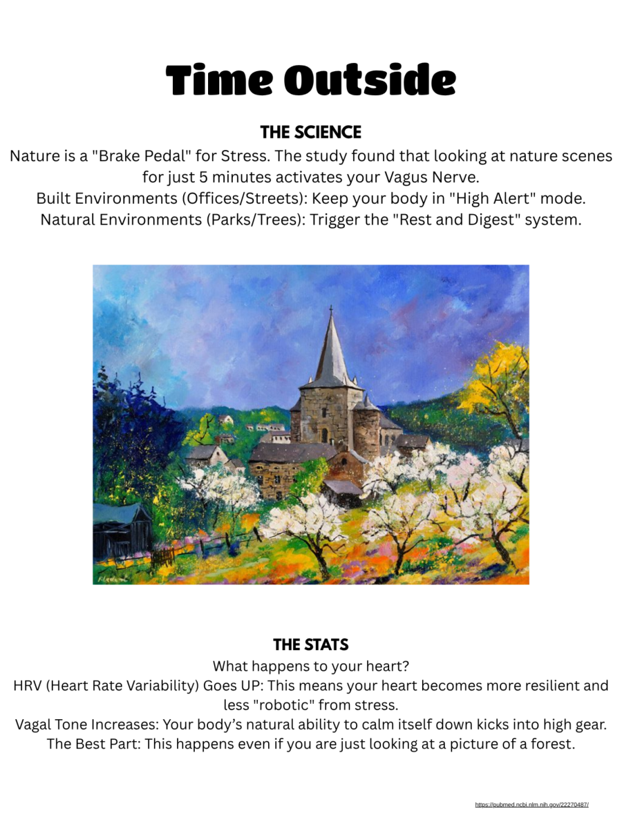 Info-graphic